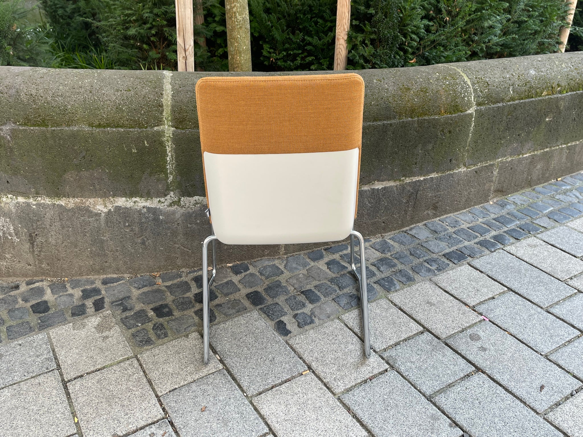 Rolf Benz - Stuhl - RB 626 Sinus - Stoff gelb - sofort verfügbar