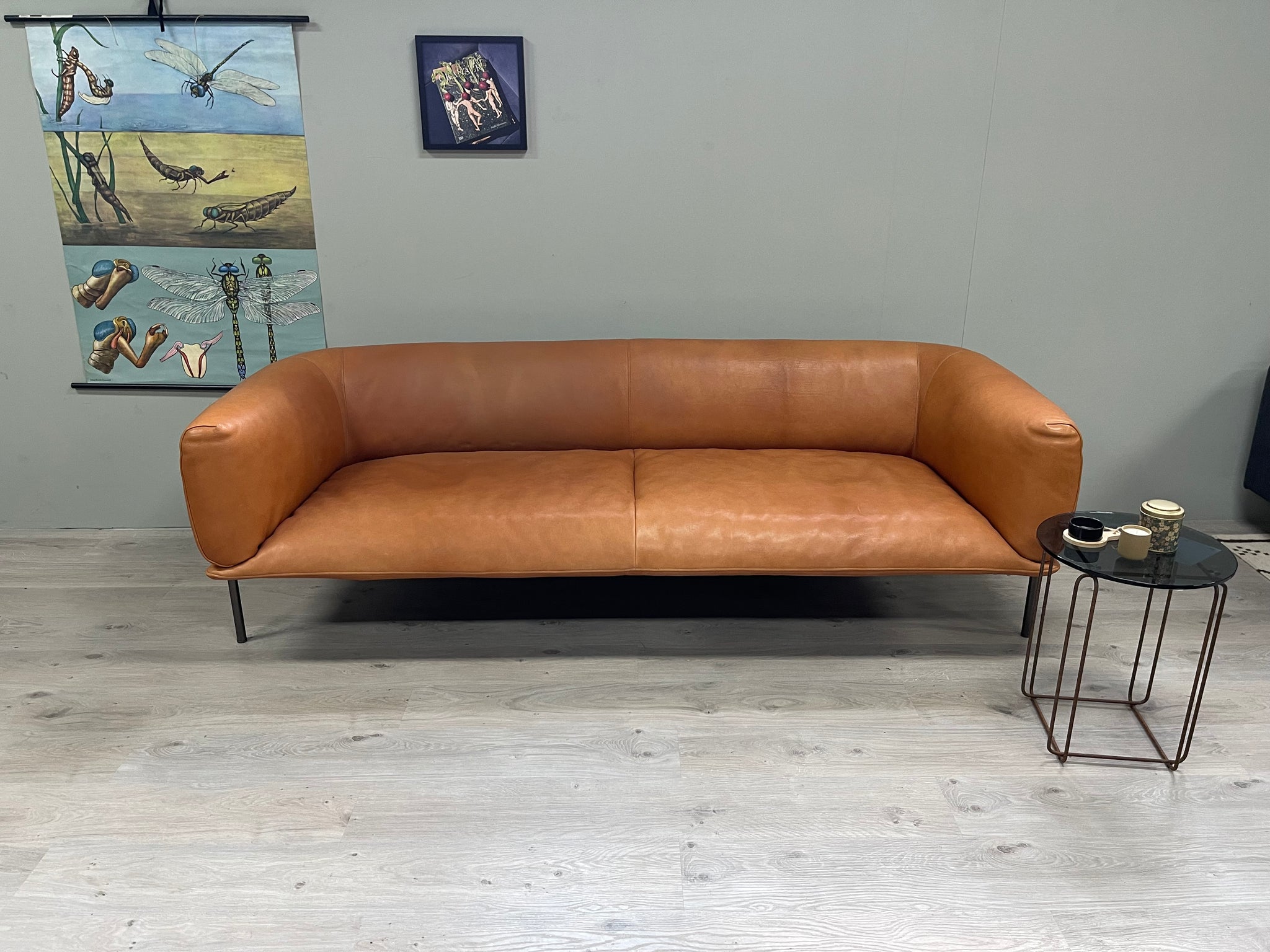 Molinari Design - Sofa - Rondo - Leder cognac - sofort verfügbar