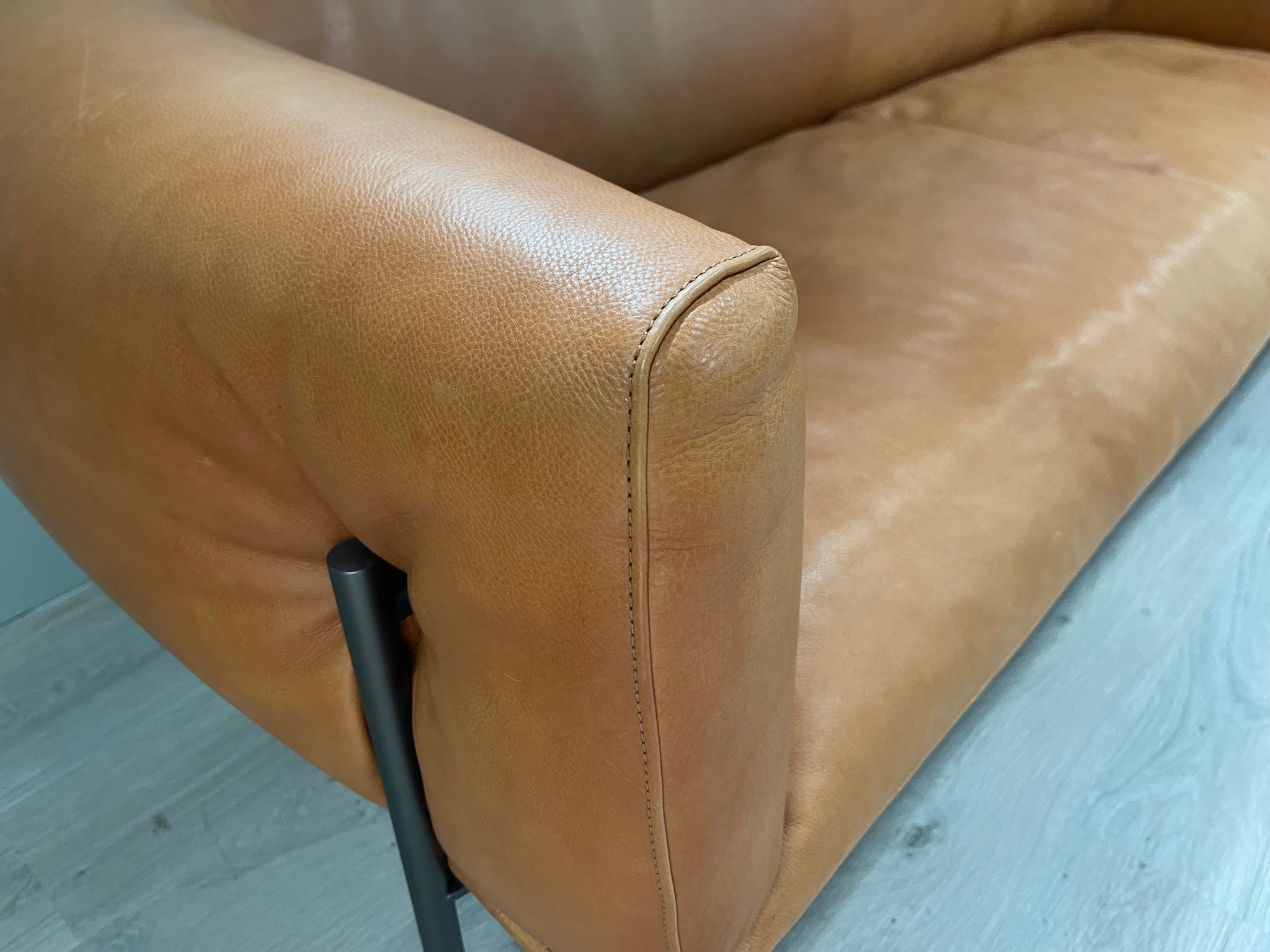 Molinari Design - Sofa - Rondo - Leder cognac - sofort verfügbar