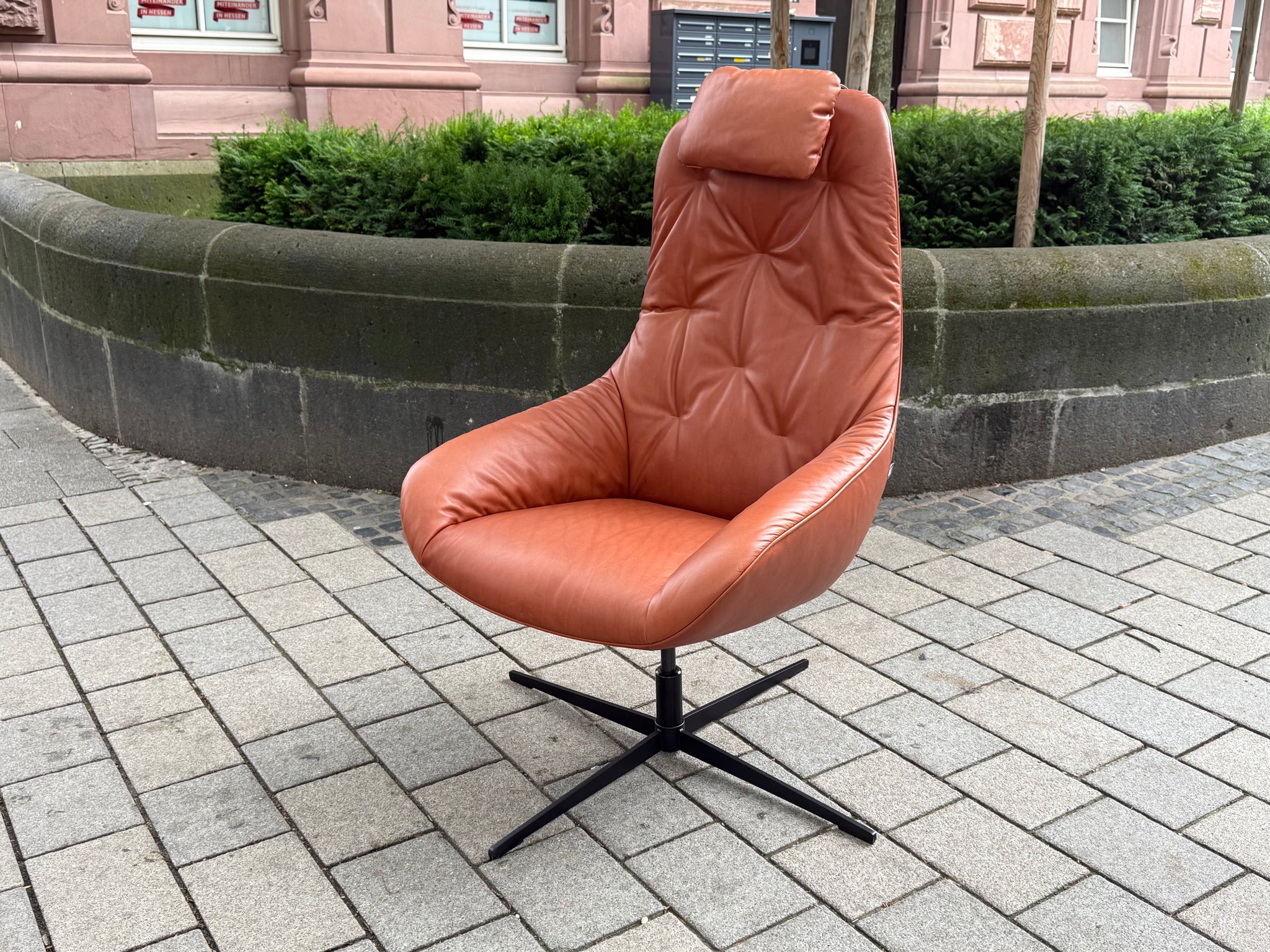 Rolf Benz - Sessel - RB 586 MEG - Leder braun - sofort verfügbar