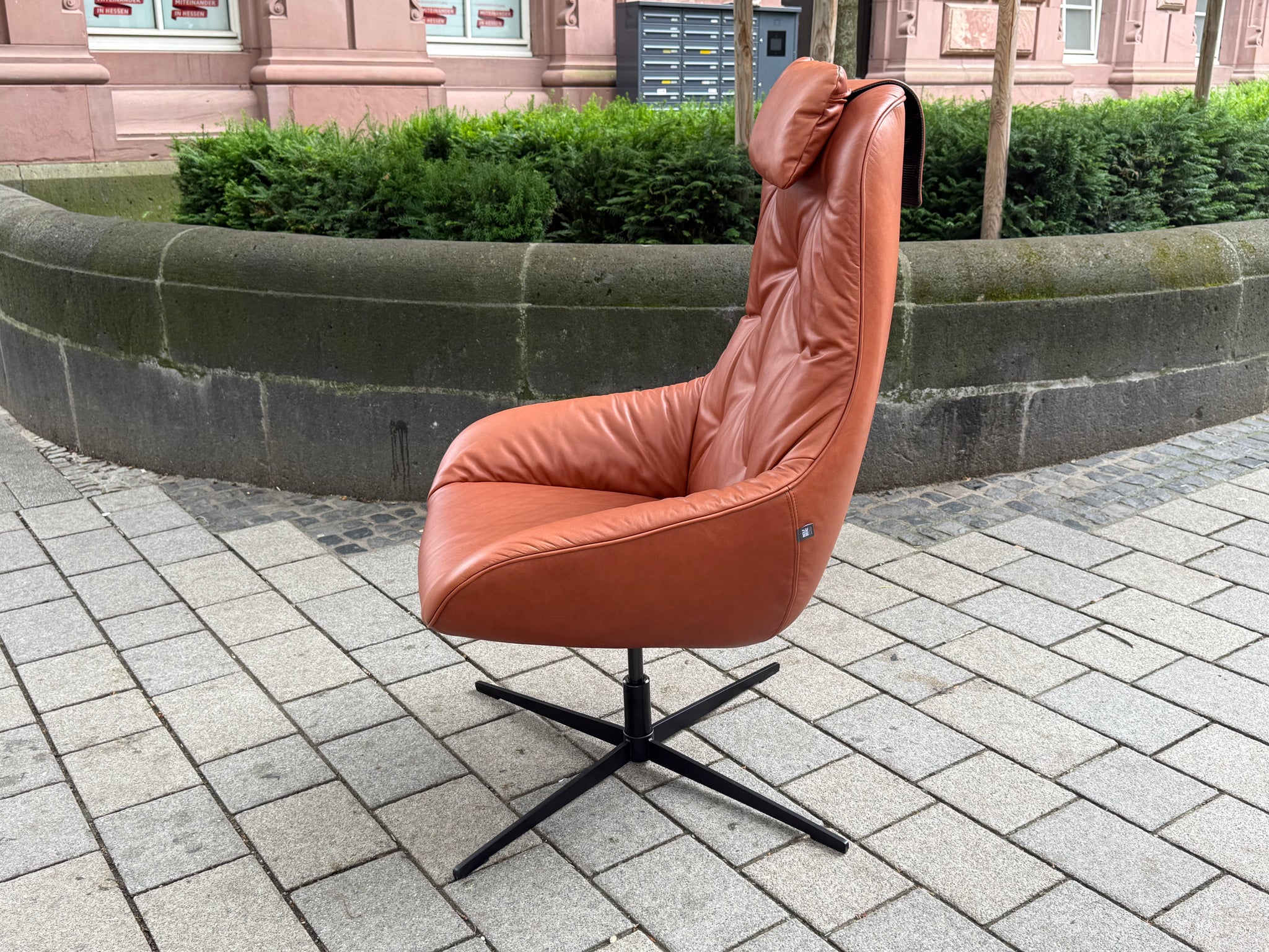 Rolf Benz - Sessel - RB 586 MEG - Leder braun - sofort verfügbar