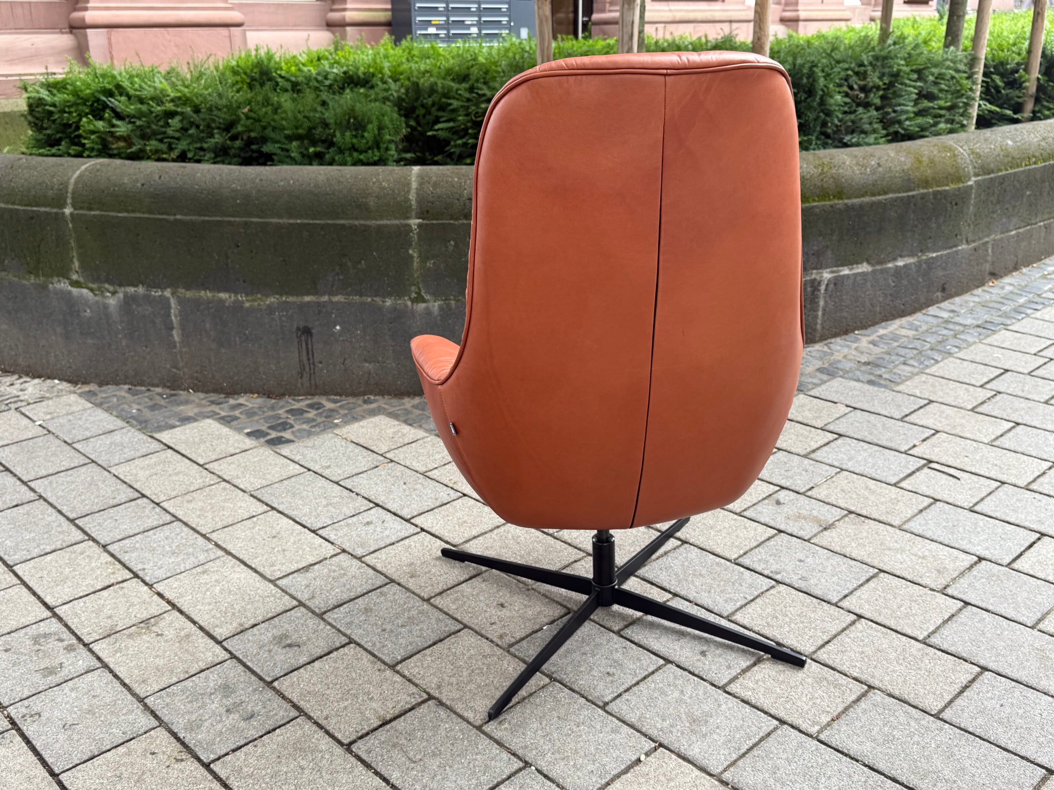 Rolf Benz - Sessel - RB 586 MEG - Leder braun - sofort verfügbar