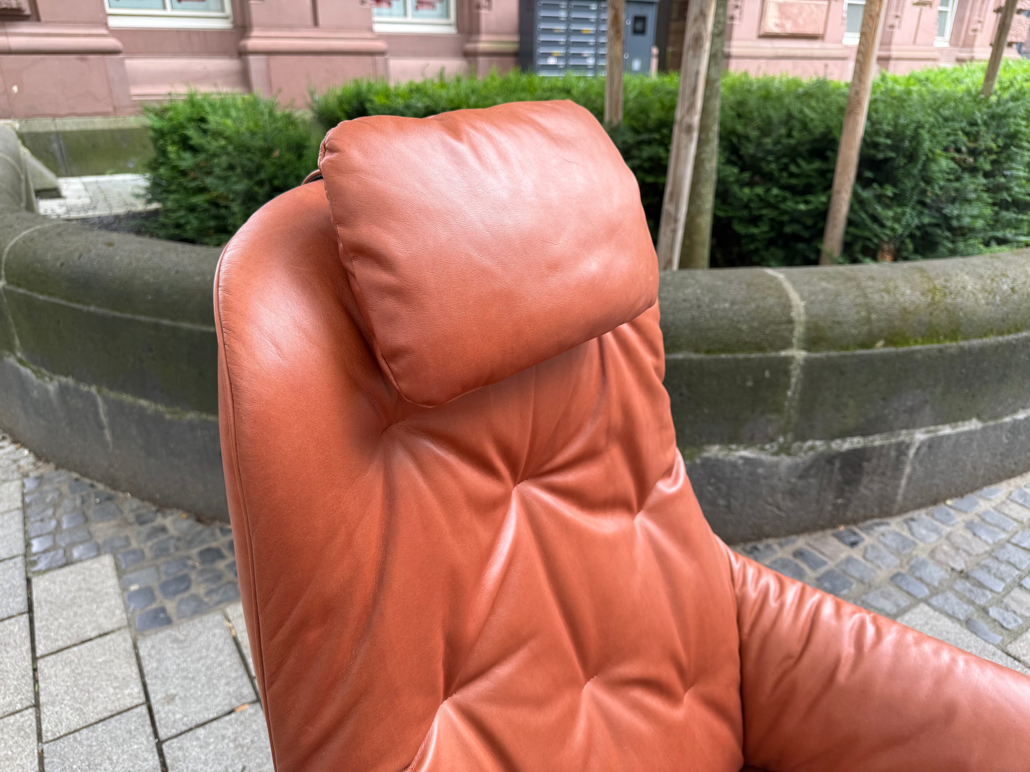 Rolf Benz - Sessel - RB 586 MEG - Leder braun - sofort verfügbar