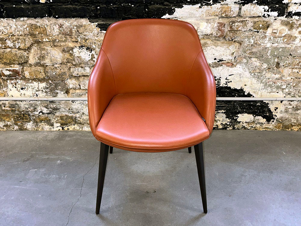 Dressy - Stuhl - Galera (4er-Set) - Leder orange braun - sofort verfügbar