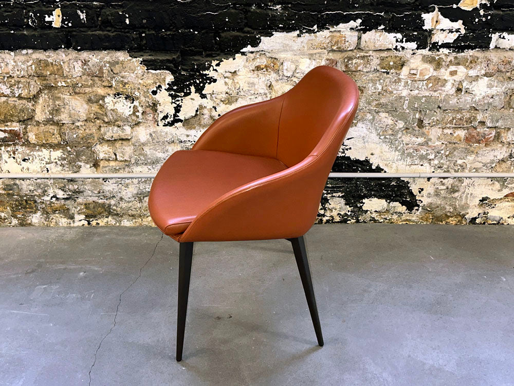 Dressy - Stuhl - Galera (4er-Set) - Leder orange braun - sofort verfügbar