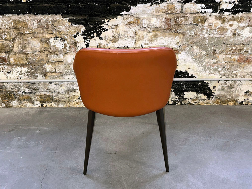 Dressy - Stuhl - Galera (4er-Set) - Leder orange braun - sofort verfügbar