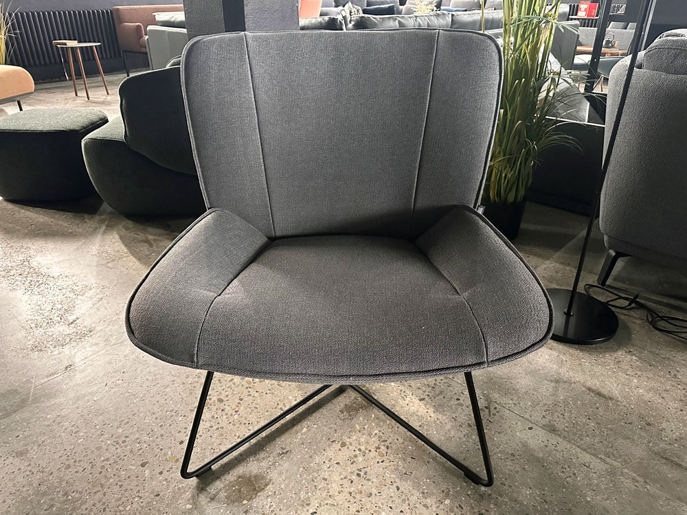 Rolf Benz - Sessel - RB 383 - Stoff grau - sofort verfügbar